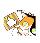 ぬこまみれ(ねこ)（個別スタンプ：21）