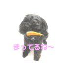 トイプーたんの日常1（個別スタンプ：3）