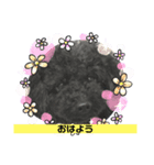 トイプーたんの日常1（個別スタンプ：7）