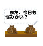 茶トラ白猫と相談（個別スタンプ：21）