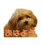 アナ(301)（個別スタンプ：1）