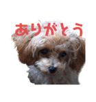 アナ(301)（個別スタンプ：3）