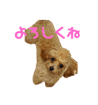 アナ(301)（個別スタンプ：5）