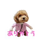 チョコ、ミルク(306)（個別スタンプ：1）