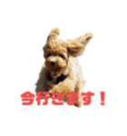 チョコ、ミルク(306)（個別スタンプ：4）