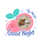 チョコ、ミルク(306)（個別スタンプ：8）