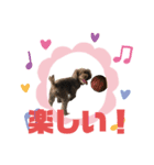 モコ、ウミ(309)（個別スタンプ：1）