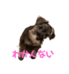 モコ、ウミ(309)（個別スタンプ：3）