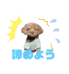 モコ、ウミ(309)（個別スタンプ：6）