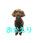 モコ、ウミ(309)（個別スタンプ：7）