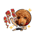 トイプードルのビビちゃん（個別スタンプ：8）