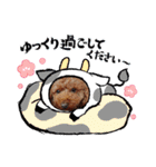 トイプードルのビビちゃん（個別スタンプ：9）