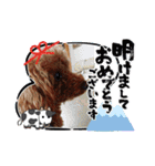 トイプードルのビビちゃん（個別スタンプ：23）