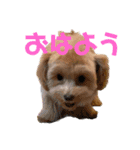 もなか(310)（個別スタンプ：1）