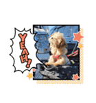 もなか(310)（個別スタンプ：2）