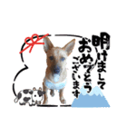 5. ハルト(初実)（個別スタンプ：2）