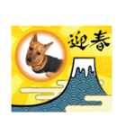 5. ハルト(初実)（個別スタンプ：4）