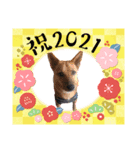5. ハルト(初実)（個別スタンプ：6）
