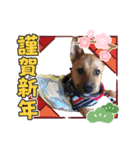 5. ハルト(初実)（個別スタンプ：7）
