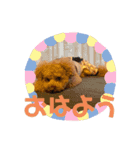 チップ＆モコ(316)（個別スタンプ：1）