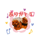 チップ＆モコ(316)（個別スタンプ：3）