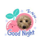 もか(304)（個別スタンプ：2）