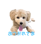 もか(304)（個別スタンプ：3）
