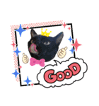 MagiとKii★にゃんこの日常印+年末年始（個別スタンプ：3）