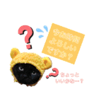 MagiとKii★にゃんこの日常印+年末年始（個別スタンプ：11）
