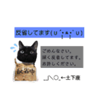 MagiとKii★にゃんこの日常印+年末年始（個別スタンプ：14）