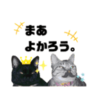 MagiとKii★にゃんこの日常印+年末年始（個別スタンプ：19）