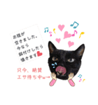 MagiとKii★にゃんこの日常印+年末年始（個別スタンプ：22）