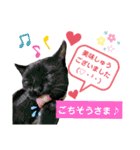 MagiとKii★にゃんこの日常印+年末年始（個別スタンプ：23）