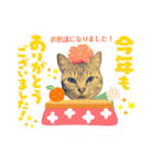MagiとKii★にゃんこの日常印+年末年始（個別スタンプ：25）