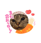 MagiとKii★にゃんこの日常印+年末年始（個別スタンプ：31）