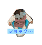 とあちゃんthree（個別スタンプ：16）