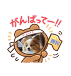 ぱぴぱぴパピヨン13（個別スタンプ：4）