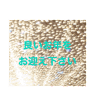 ⭐︎年末年始のご挨拶⭐︎（個別スタンプ：12）