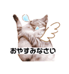 田中さんちのネコ（個別スタンプ：2）