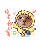 田中さんちのネコ（個別スタンプ：8）