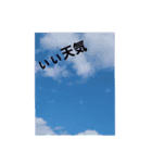 これですかのぉー！！（個別スタンプ：1）