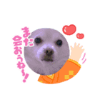 これですかのぉー！！（個別スタンプ：2）