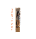 はっちょトランス1（個別スタンプ：12）