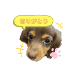 randy moka2（個別スタンプ：1）