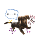 randy moka2（個別スタンプ：3）