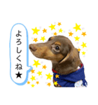 randy moka2（個別スタンプ：4）
