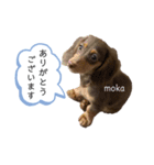 randy moka2（個別スタンプ：6）