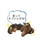 randy moka2（個別スタンプ：8）