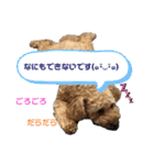 ワンワン スタンプ（個別スタンプ：2）