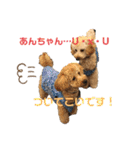 ワンワン スタンプ（個別スタンプ：11）